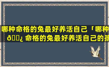 哪种命格的兔最好养活自己「哪种 🌿 命格的兔最好养活自己的孩子」